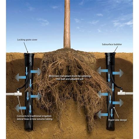 marijuana root zone watering capacity